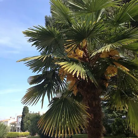 Flores Hotel Poreč