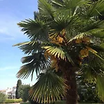 Flores Otel Poreč